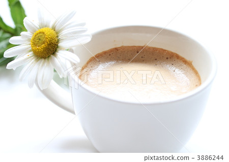 Coffee and Hama Chrysanthemum Coffee and Hama Chrysanthemum 3886244