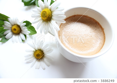 Coffee and Hama Chrysanthemum 3886249
