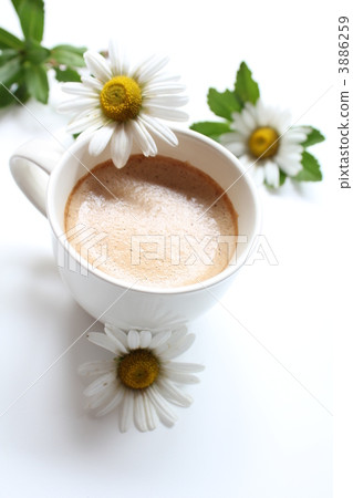 Coffee and Hama Chrysanthemum 3886259