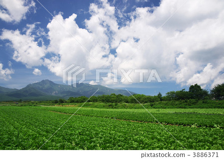 Yatsugatake和高地蔬菜 Yatsugatake和高地蔬菜 3886371