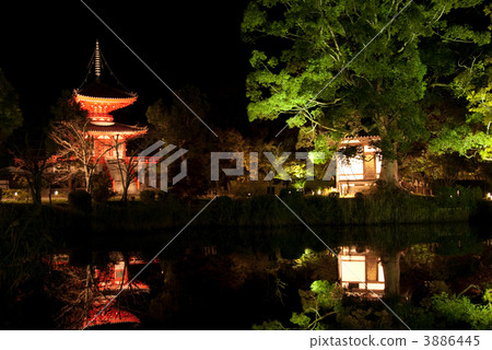 Daimyoji Light Up 3886445