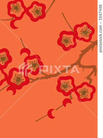 japanese pattern, flower, flowers 3887486
