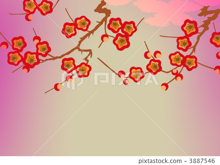 japanese pattern, flower, flowers 3887546
