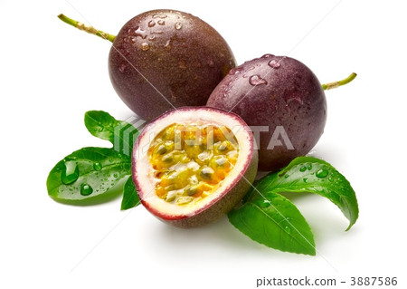 百香果 百香果 3887586