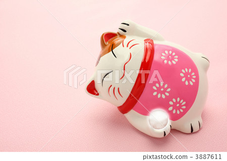 Sleeping cat 3887611