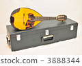 mandolin, stringed instrument, stringed instruments 3888344