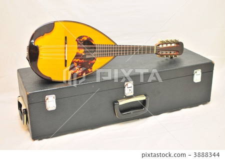 弦樂器 器具 儀器 3888344