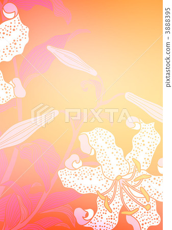 liliaceae, flower, flowers 3888395