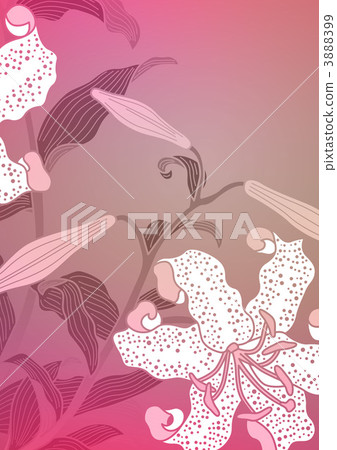 liliaceae, flower, flowers 3888399