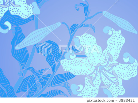 百合科 花朵 花 3888431