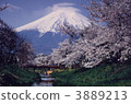 Fuji and cherry blossoms 3889213