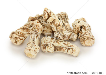 Honori (Toriki) Honori (Toriki) 3889483