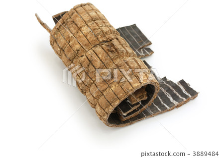 Xu Jia (Toku) 3889484