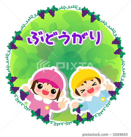 Grape picking 3889685