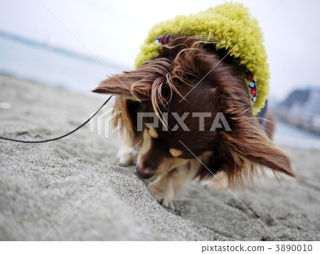 潤飾 挖掘 挖地埋入 3890010