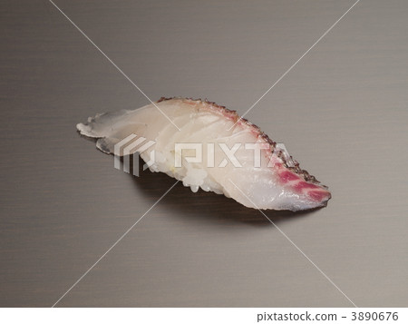 sushi, a red sea bream, room rent 3890676