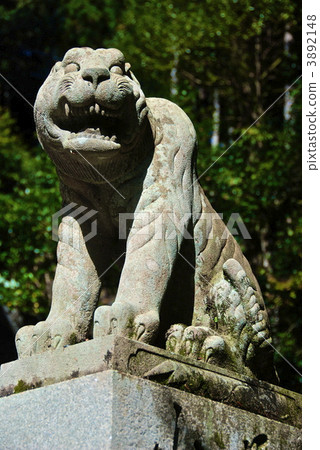 “Aki no Tiger（Acha）”的石像（Kurama Temple / Kuramado Town，Sakyo Ward，Kyoto City） 3892148
