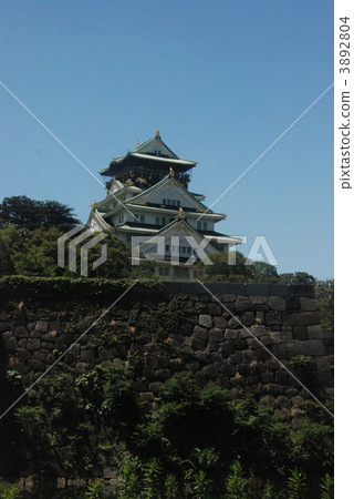 "Osaka castle castle tower" viewed from Higashi Uchibori (Osaka Castle Park / Chuo Ward, Osaka) 3892804