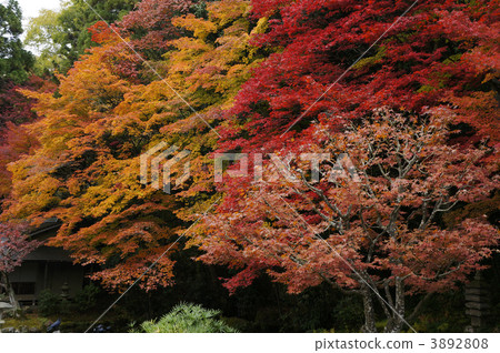 Nanzenji in autumn leaves Nanzenji in autumn leaves 3892808