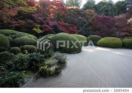 秋葉詩歌 秋葉詩歌 3895404