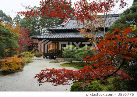 Nanzenji Temple of the autumn leaves Nanzenji Temple of the autumn leaves 3895776