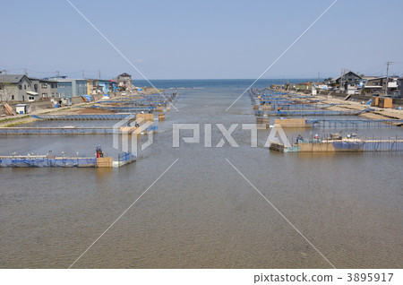 Shiro oo釣魚 Shiro oo釣魚 3895917