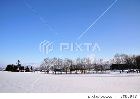 Snowfields and trees in Hokkaido 3896998