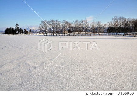 北海道的雪原和樹木 3896999