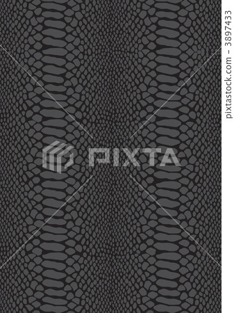 蛇紋黑色垂直 3897433