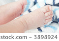 Baby's foot 3898924