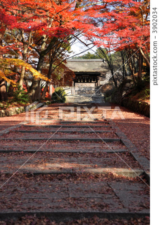 bishamondou, gateway of the imperial messenger, chokushi-mon 3902034