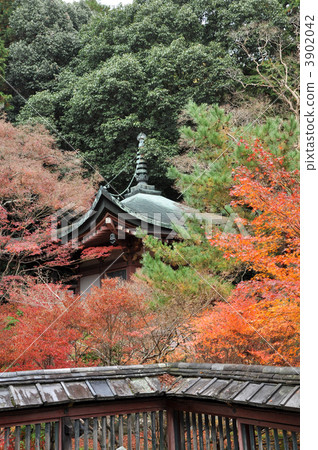 head priest of bishamondo temple, bishamondou, bentendo 3902042