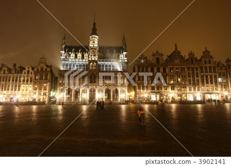 Brussels Brussels 3902141