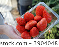 Strawberry pack 3904048