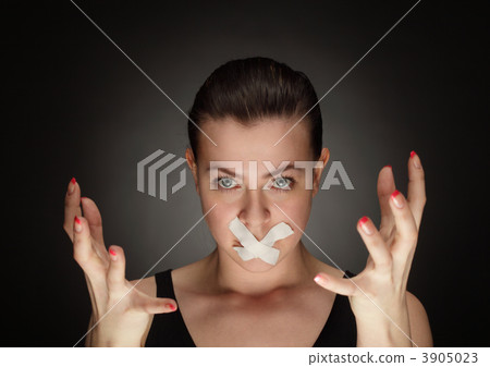 3905023