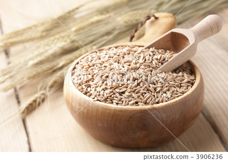 糙米大麥 3906236