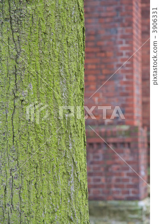 Mossing Torchioki波蘭奧波萊市 3906331