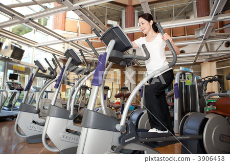 gym, female, females 3906458