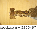 Nike of Samothrace 3906497