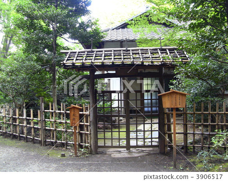 Japanese garden 3906517