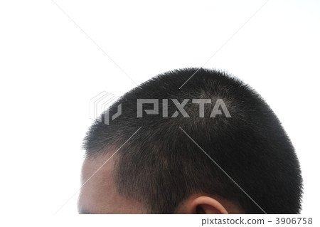 Shaved head (cut for five minutes) 3906758