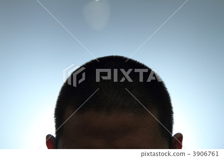 Shaved head (cut for five minutes) 3906761