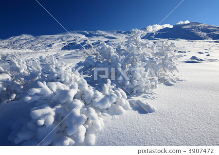 Duckkeba和Tokachidake冰淇淋 3907472