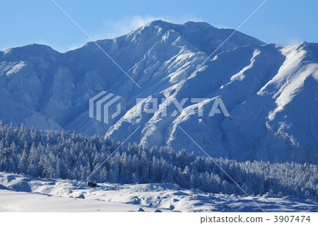 Ice cream of the virgin forest and Furano mountain 3907474
