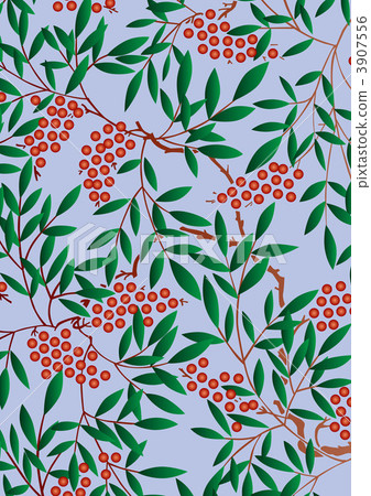 南天樹的果實 南天竹 南部天空 3907556