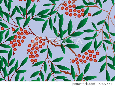 南天樹的果實 南天竹 南部天空 3907557