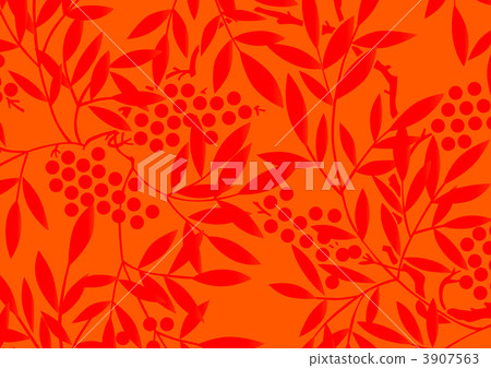 南天樹的果實 南天竹 南部天空 3907563