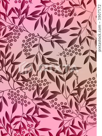 南天樹的果實 南天竹 南部天空 3907572