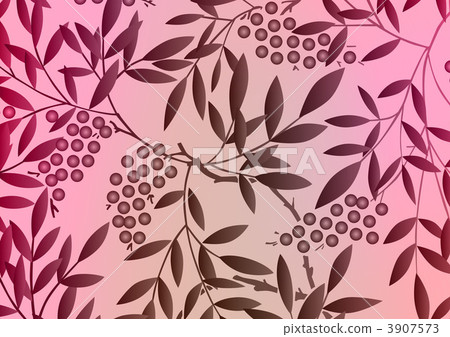 南天樹的果實 南天竹 南部天空 3907573