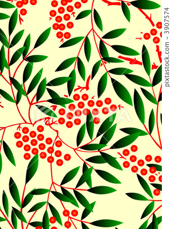 南天樹的果實 南天竹 南部天空 3907574